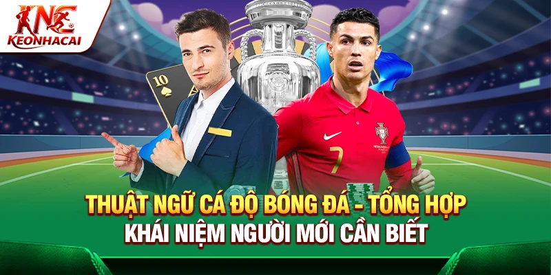 https://iqiq.io/thuat-ngu-ca-do-bong-da/